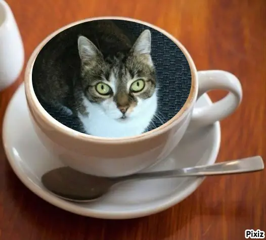 Andachtsbild von Tanja mit Timmy im Herzen 