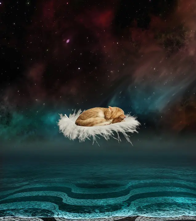 Andachtsbild von  ❤️☆.:*´¨`*:.•.¸¸ Zum 43. Gedenkmonat für ❤️ Maja¸¸.•.:*´¨`*:.☆❤️