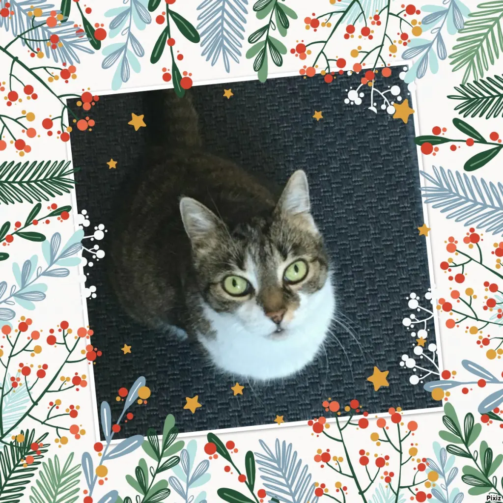 Andachtsbild von Tanja mit Timmy im Herzen 