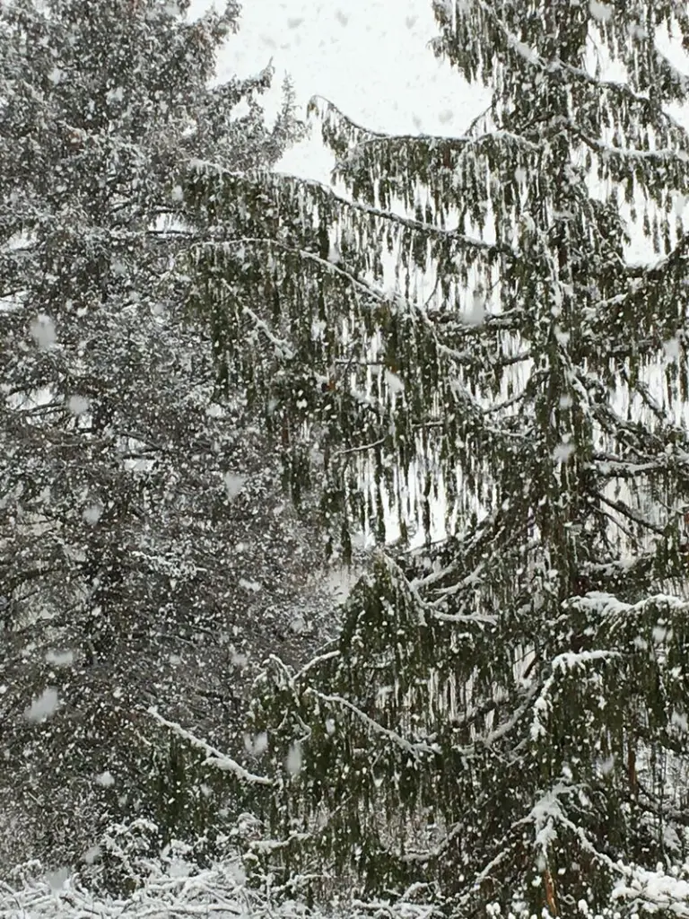 Andachtsbild von  ❤️ ¸.•*¨*•.¸☃ Himmelspost ☆ zum ❄ Winterzauber ☃¸.•*¨*•.  ❤️