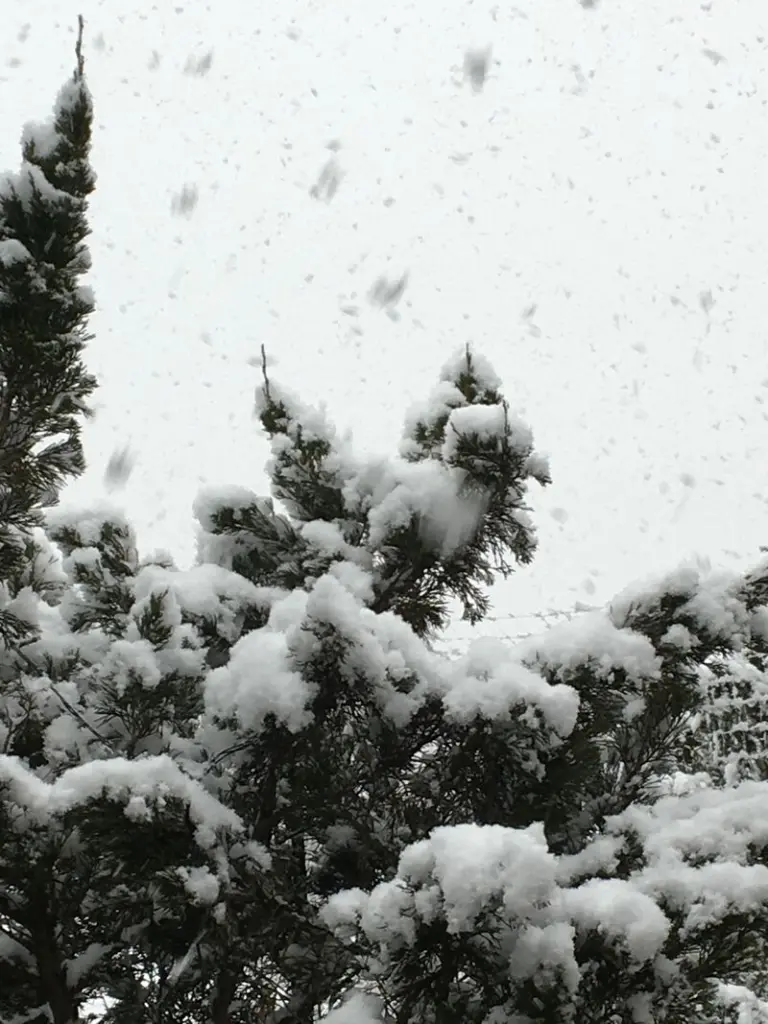 Andachtsbild von Unbekannt