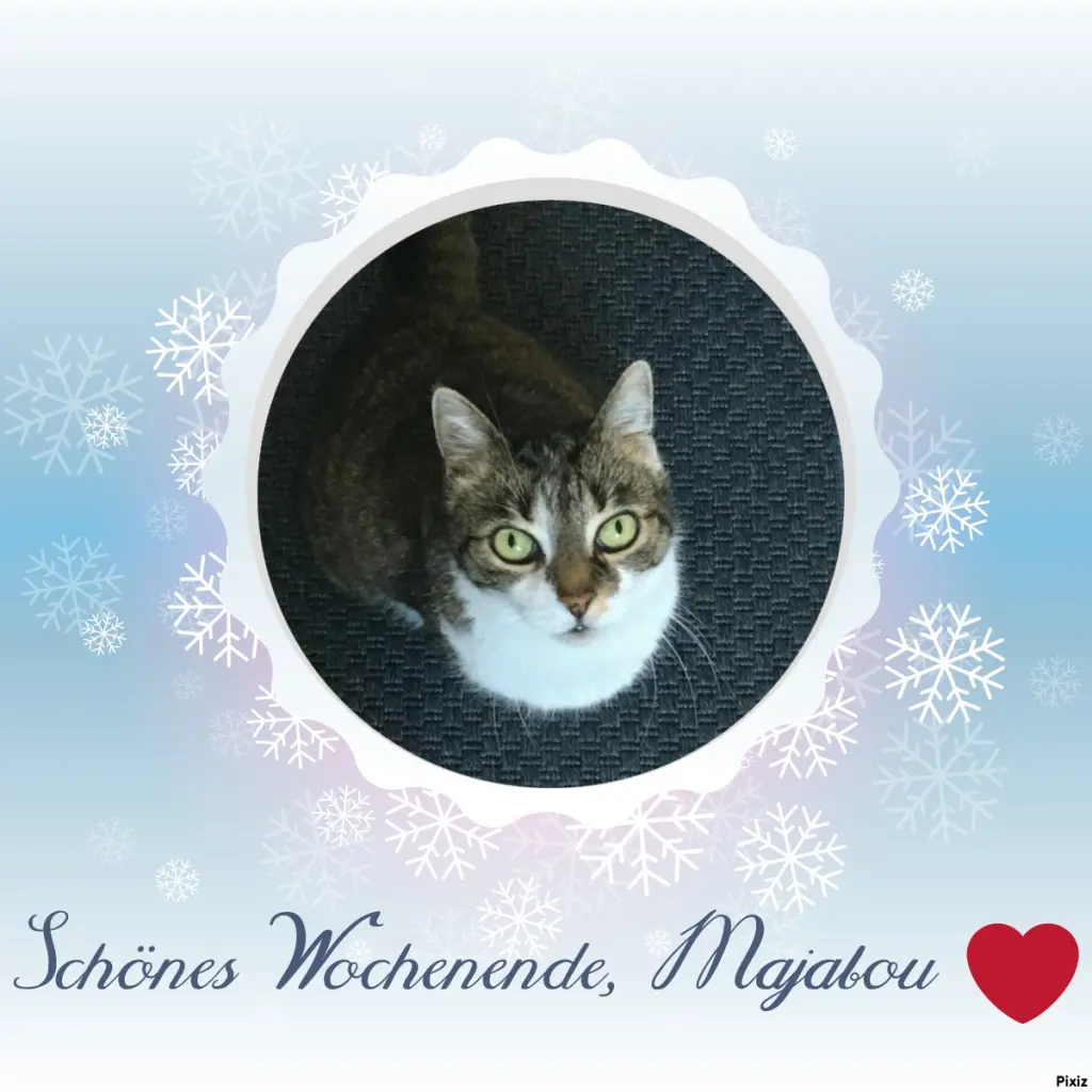 Andachtsbild von Tanja mit Timmy im Herzen 