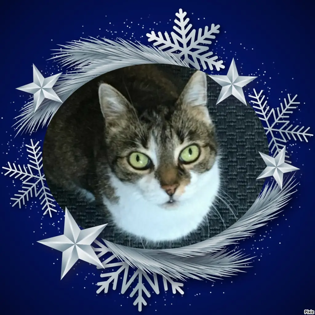 Andachtsbild von Tanja mit Timmy im Herzen