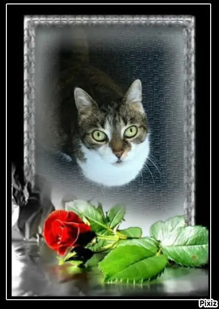 Andachtsbild von Tanja mit Timmy im Herzen 