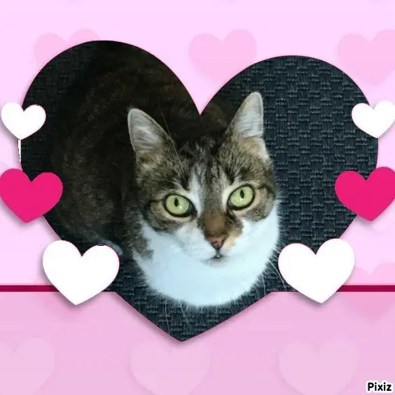 Andachtsbild von Tanja mit Timmy im Herzen 