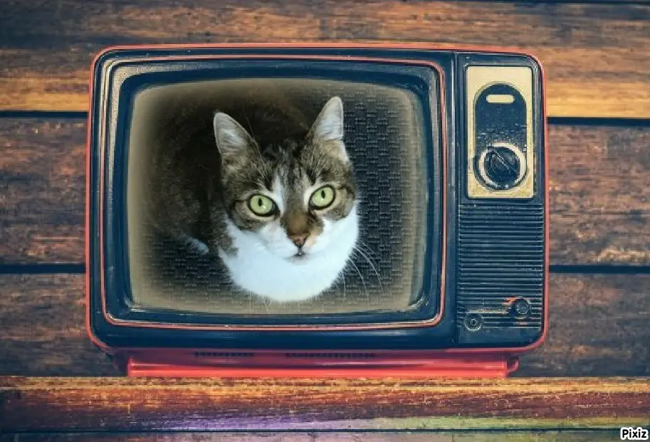 Andachtsbild von Tanja mit Timmy im Herzen 