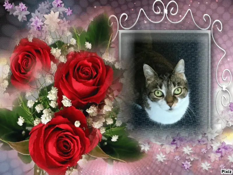 Andachtsbild von Tanja mit Timmy im Herzen 