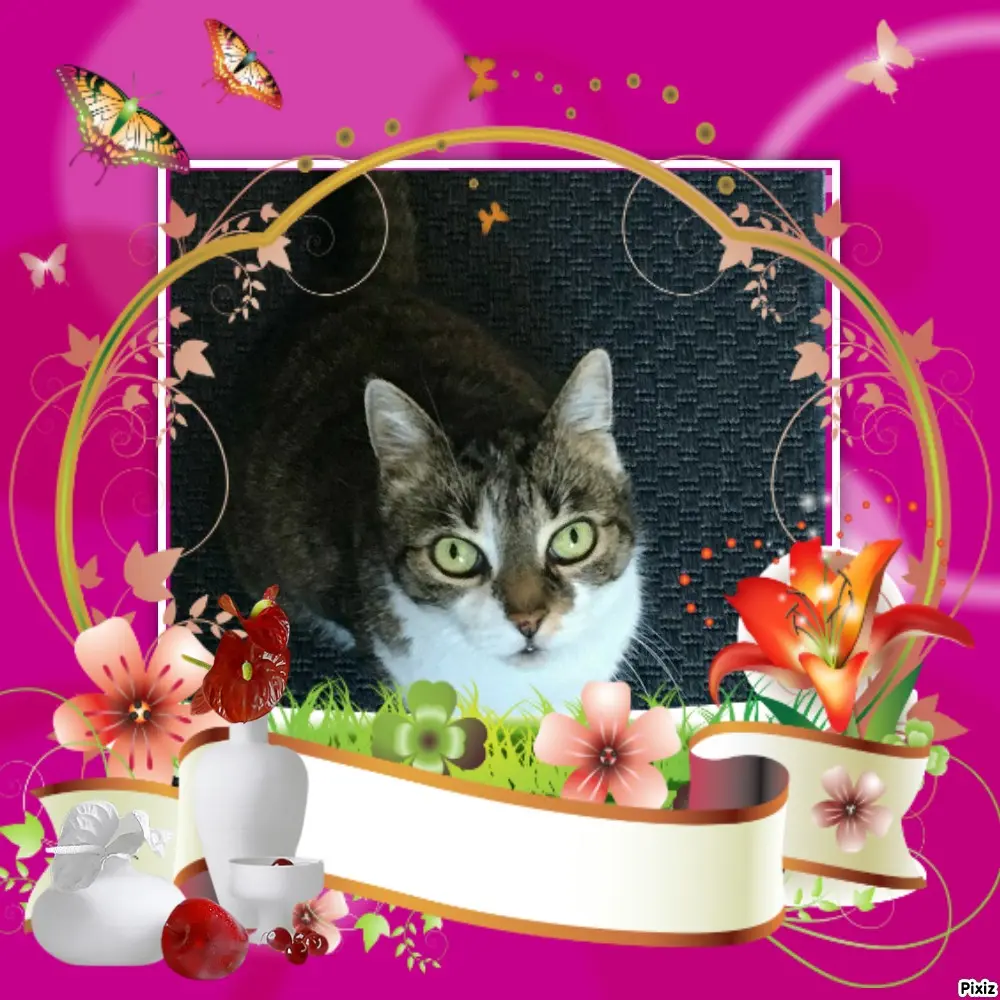 Andachtsbild von Tanja mit Timmy im Herzen 