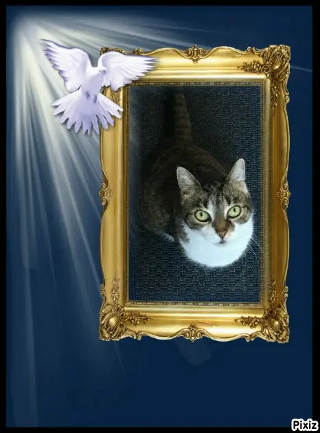 Andachtsbild von Tanja mit Timmy im Herzen 