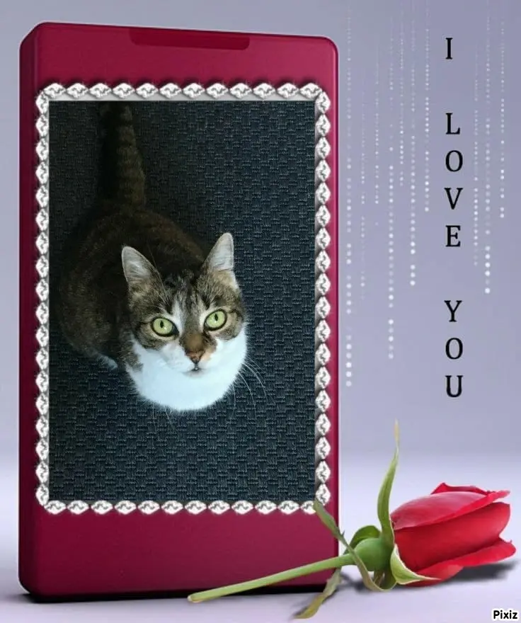 Andachtsbild von Tanja mit Timmy im Herzen 