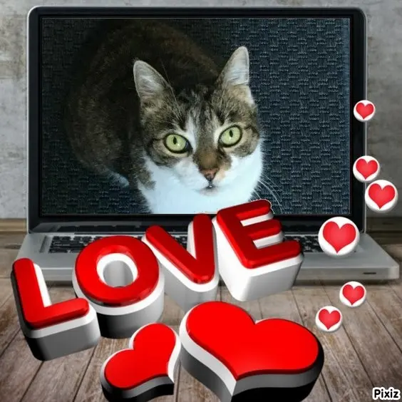 Andachtsbild von Tanja mit Timmy im Herzen 