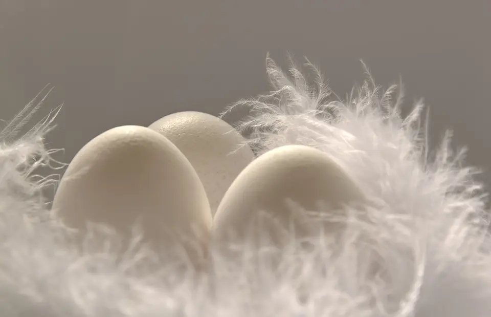 Andachtsbild von ❀ ´¯`*•.¸¸ ❀ Himmelsgrüße❤️ ❀ ´¯`*•.¸¸ ❀