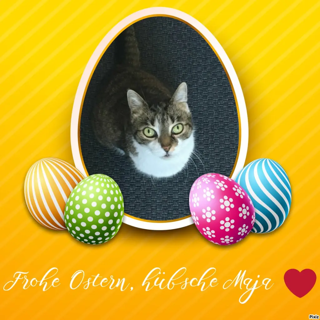 Andachtsbild von Tanja mit Timmy im Herzen 