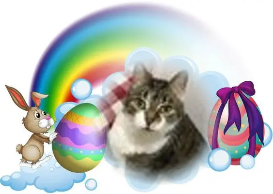 Andachtsbild von Frohe❤️❤️❤️Ostern❤️