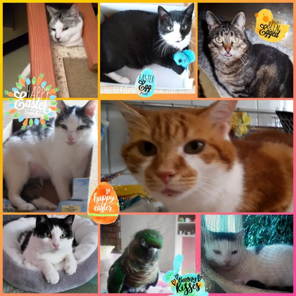 Andachtsbild von ❤️Eike und Edeltraud ❤️ 