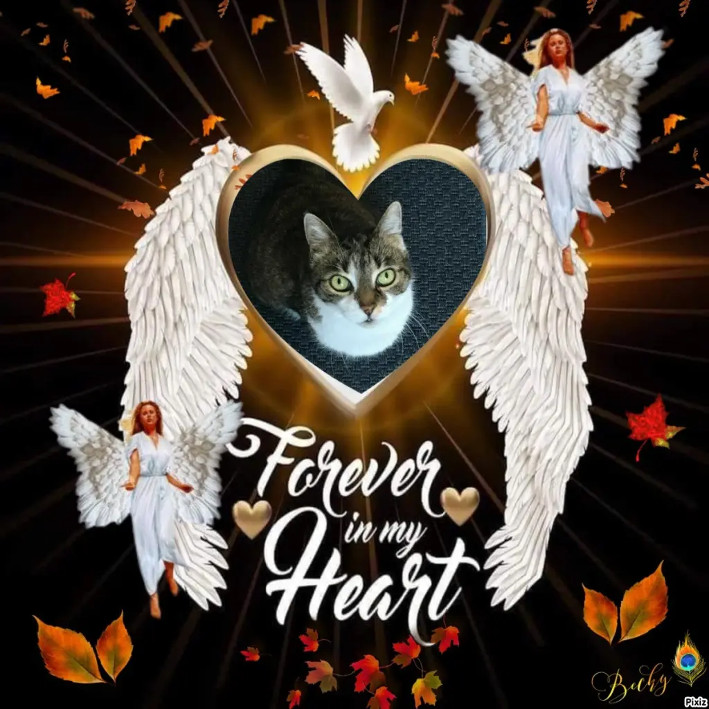 Andachtsbild von Tanja mit Timmy im Herzen 