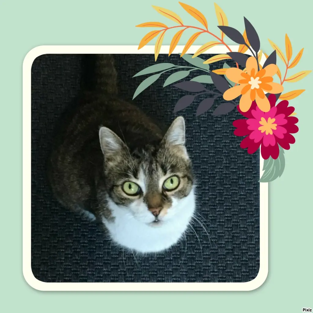 Andachtsbild von Tanja mit Timmy im Herzen