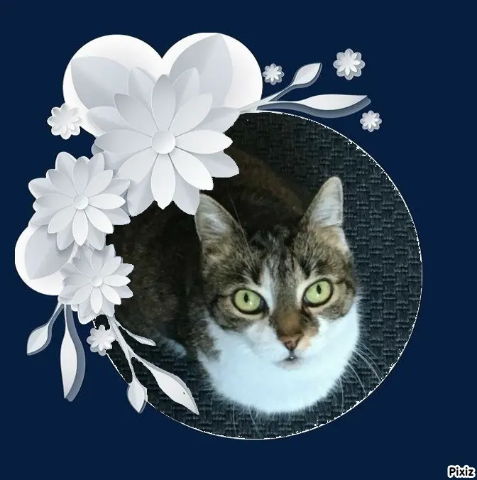 Andachtsbild von Tanja mit Timmy im Herzen 