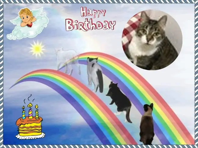 Andachtsbild von 16.Geburtstag❤️❤️❤️❤️❤️❤️❤️❤️❤️❤️❤️❤️❤️❤️❤️❤️❤️