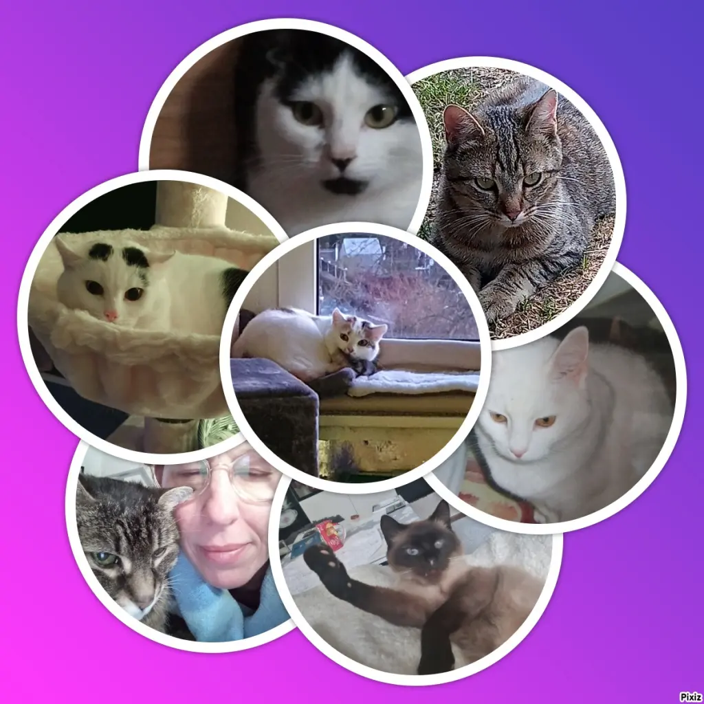 Andachtsbild von Für Dich kleines Geburtstagssternchen Maja❤️