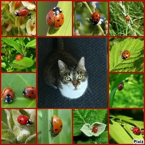 Andachtsbild von Tanja mit Timmy im Herzen 