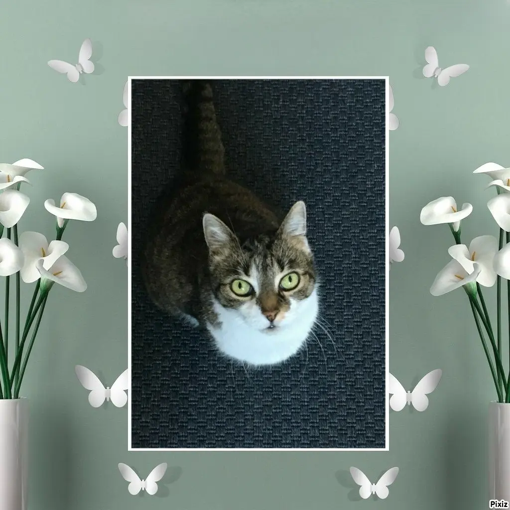 Andachtsbild von Tanja mit Timmy im Herzen 