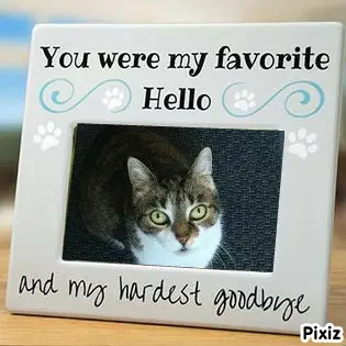 Andachtsbild von Tanja mit Timmy im Herzen 