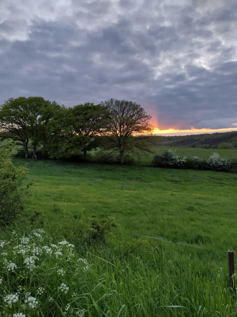 Andachtsbild von Corinna mit Emma, Pummelchen und anderen Sternlein im ❤️