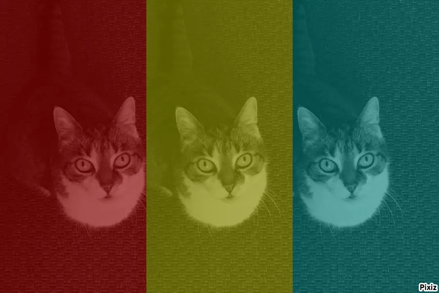 Andachtsbild von Tanja mit Timmy im Herzen 