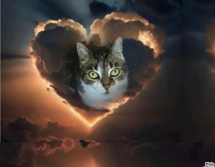 Andachtsbild von Tanja mit Timmy im Herzen 