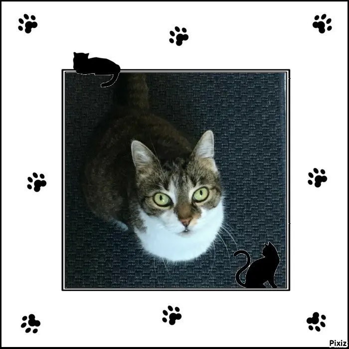 Andachtsbild von Tanja mit Timmy im Herzen 