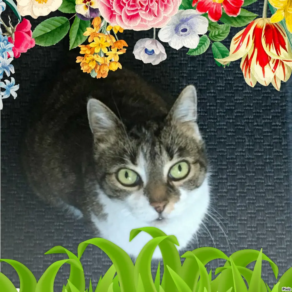 Andachtsbild von Tanja mit Timmy im Herzen 