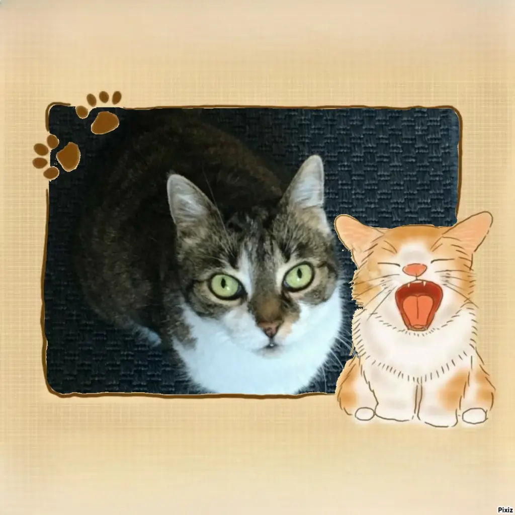 Andachtsbild von Tanja mit Timmy im Herzen 