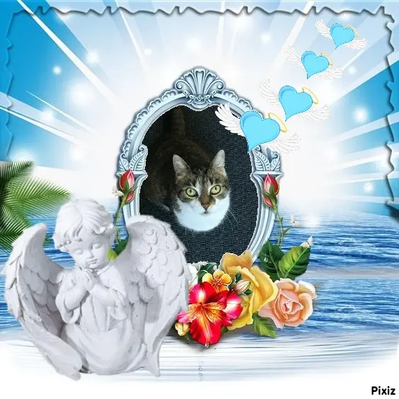 Andachtsbild von Tanja mit Timmy im Herzen 