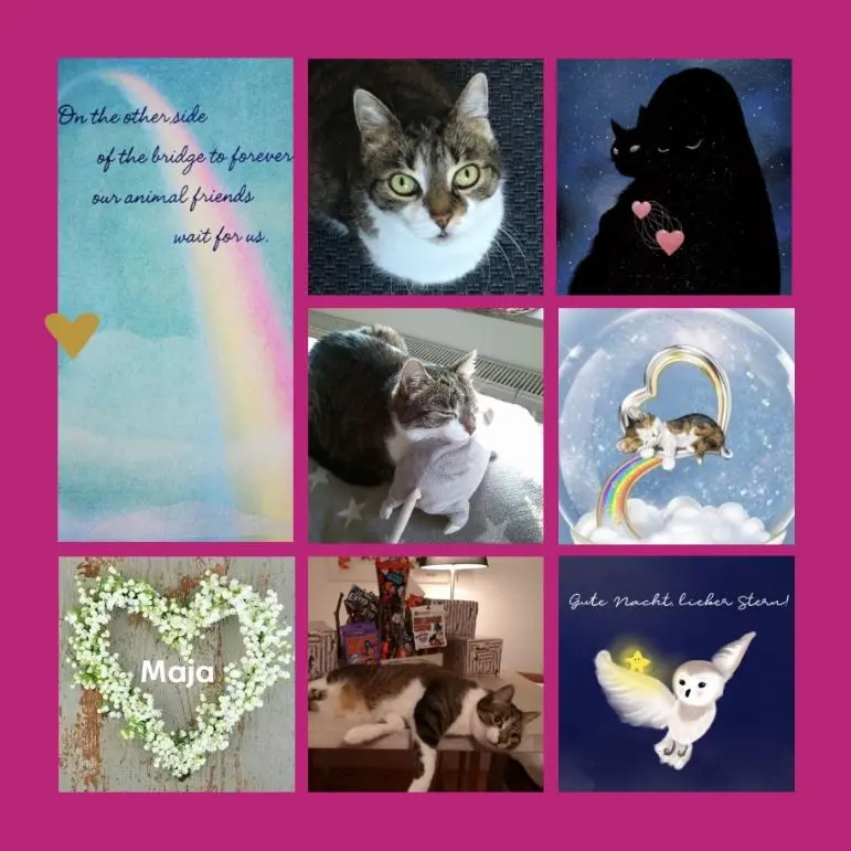 Andachtsbild von Rosen für Maja zum 4. Sternchengeburtstag