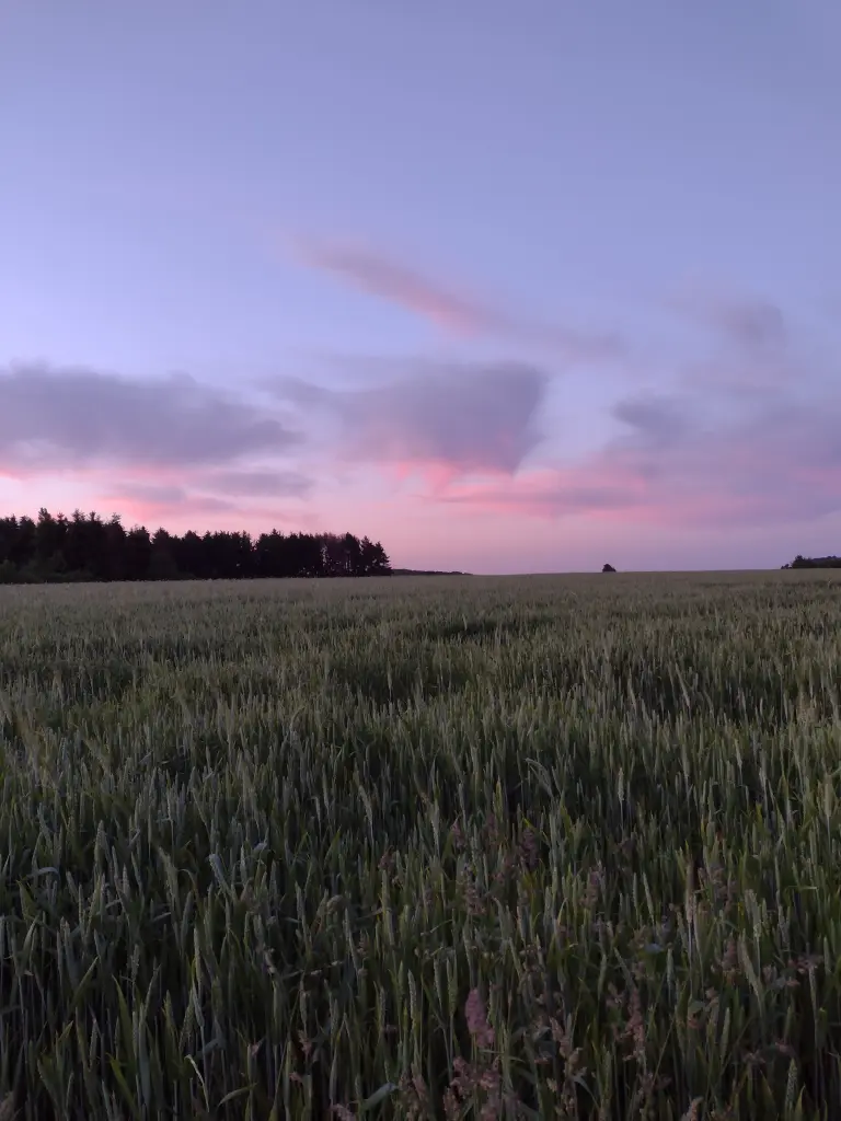 Andachtsbild von Corinna mit Emma, Pummelchen und anderen Sternlein im ❤️