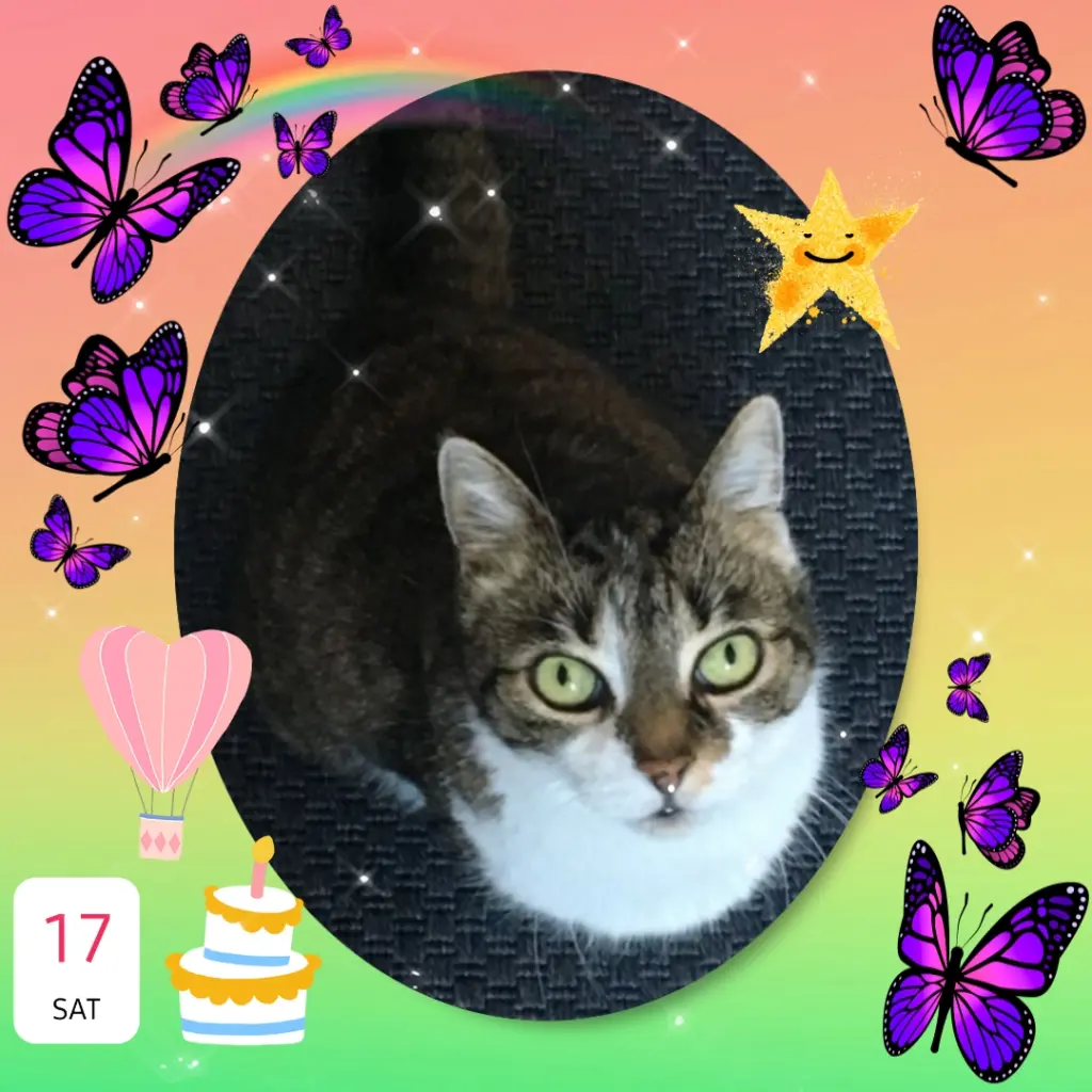 Andachtsbild von ❤️Eike und Edeltraud ❤️ 