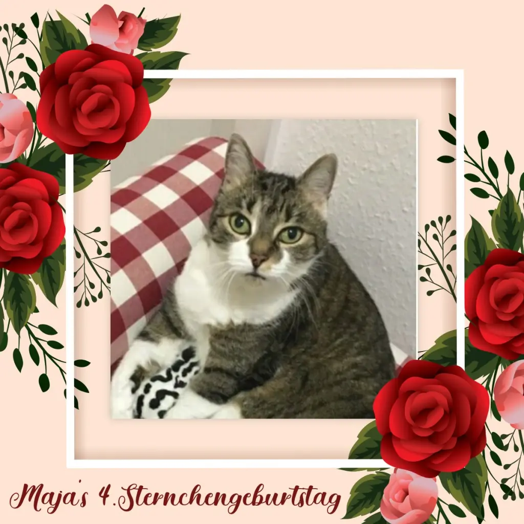 Andachtsbild von Sabine mit Kaspar Bärchen im ♥️