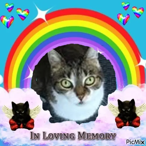 Andachtsbild von 4.Sternchen❤️Gedenktag❤️❤️❤️❤️