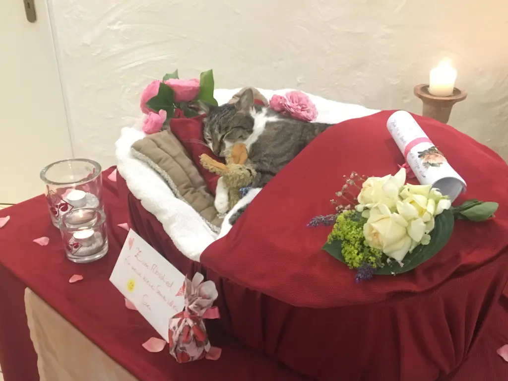 Andachtsbild von ✬¸.•*¨*•.☆Himmelspost✬¸.•*¨*•.☆❤️