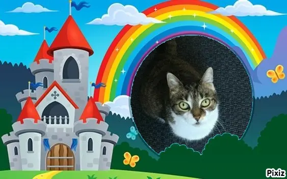 Andachtsbild von Tanja mit Timmy im Herzen 