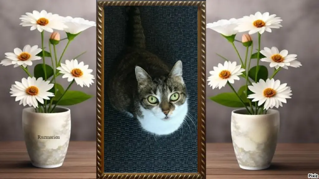 Andachtsbild von Tanja mit Timmy im Herzen 