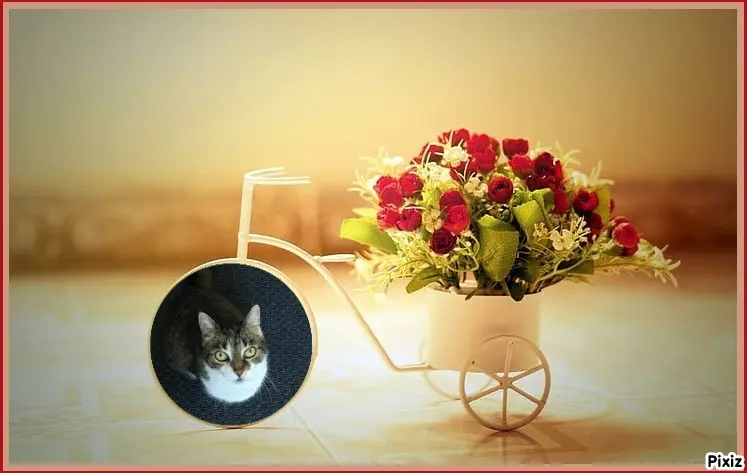 Andachtsbild von Tanja mit Timmy im Herzen 