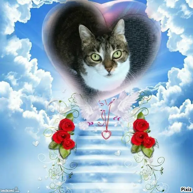 Andachtsbild von Tanja mit Timmy im Herzen 