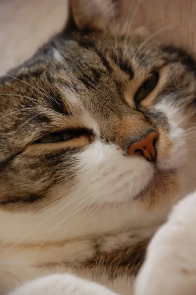 Andachtsbild von ✬¸.•*¨*•.☆Himmelsgrüße ✬¸.•*¨*•.☆❤️