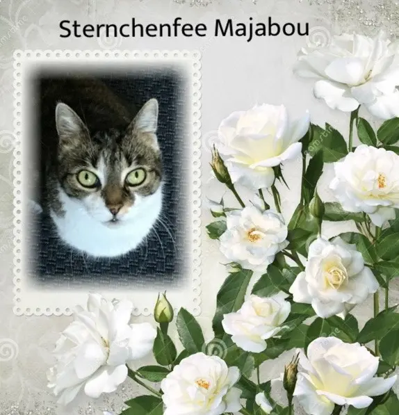 Andachtsbild von Sabine mit Kaspar&Jessy tief im ♥️