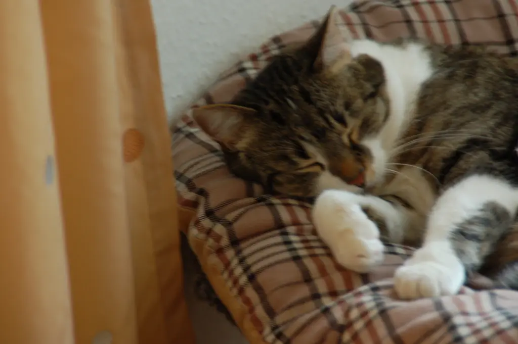 Andachtsbild von ✬¸.•*¨*•.☆Nachtrag zu meinen Himmelsgrüßen ✬¸.•*¨*•.☆❤️