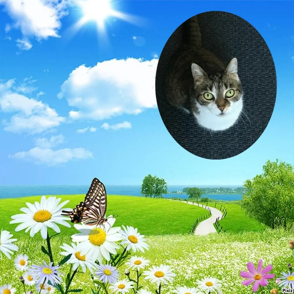 Andachtsbild von Tanja mit Timmy im Herzen 