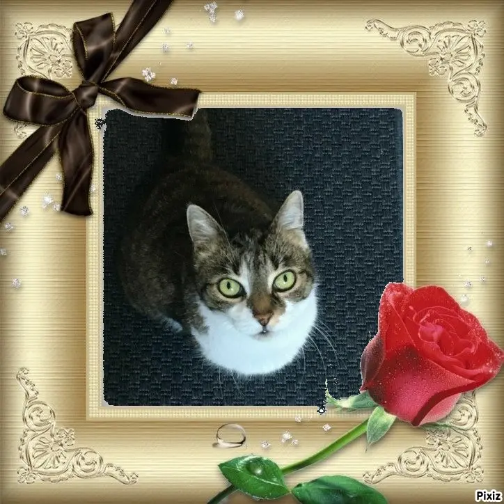 Andachtsbild von Tanja mit Timmy im Herzen 