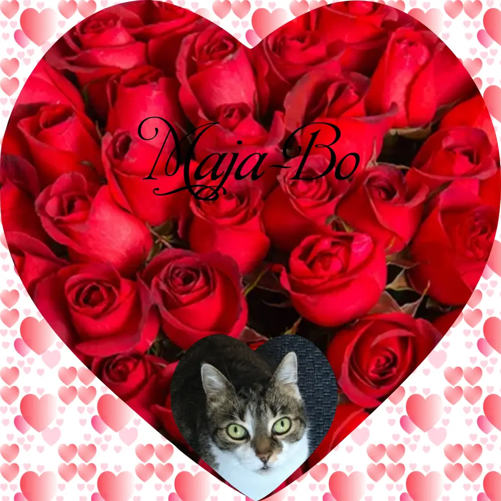 Andachtsbild von Corinna mit Emma, Pummelchen und anderen Sternlein im ❤️